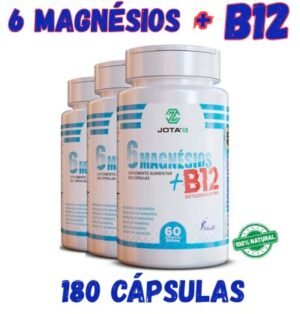 6 MAGNÉSIOS + B12
